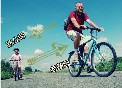 �P�c��(li��n)�W(w��ng)��˾�ġ��Ӱ���򹤳̡�