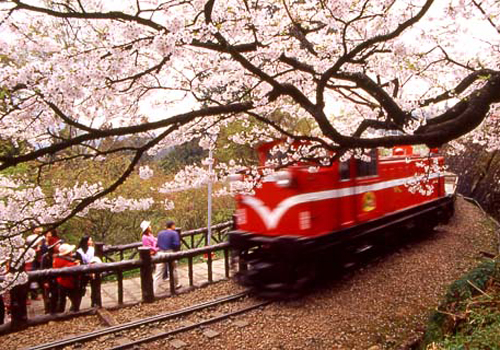 ����ɽ�ѻ�֮��