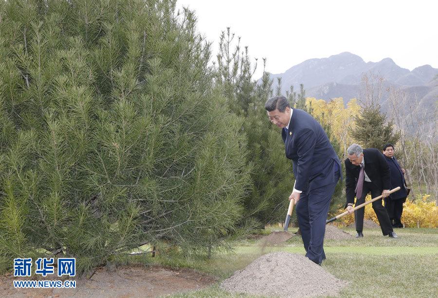 ����ƽ�cAPEC�I���ˡ�������ֲ�����