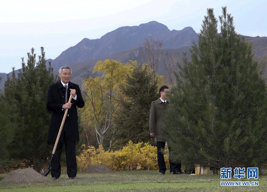 ����ƽ�cAPEC�I���ˡ�������ֲ�����