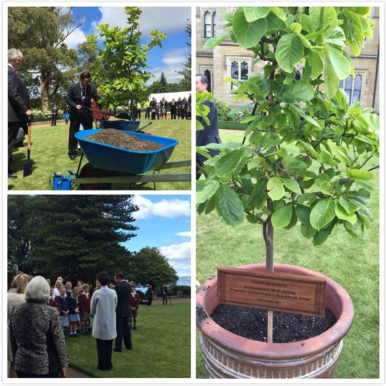 ���Ո����(x��)��������������?