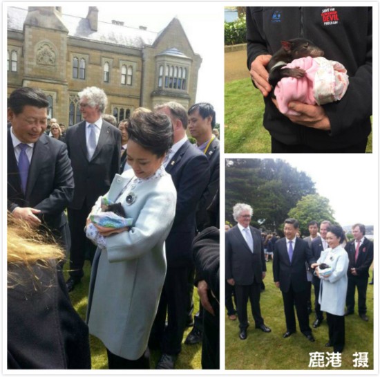 ���Ո����(x��)��������������?