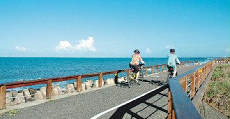 �����F�R�� ���i���o̎����