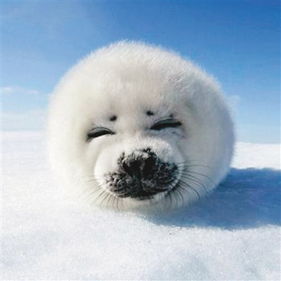 �_�����͡�ʧ�Լ�����ʲô�r���f��������Ԓ��