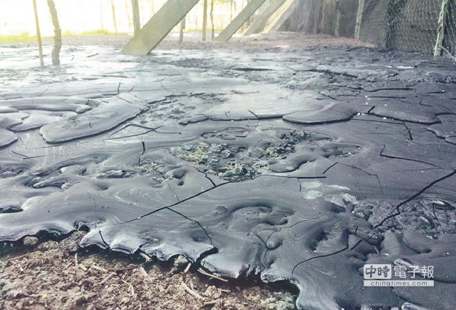 �`�¹��S10�����ᄻ�� �û��h�����]�X��