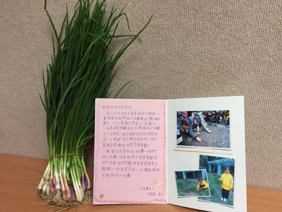 �������ƏVС��@Ӌ�����^С�W���͡��؄e�ĶY�