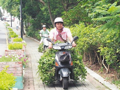 �^�죺�_�����h���e���ڶ��l�����wδ������