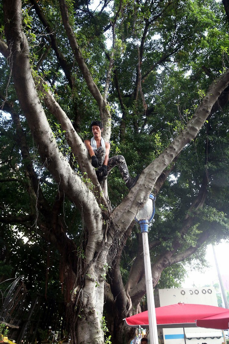 "����"�������y������ʿ���·�^(gu��)"������" Ҏ(gu��)��W(xu��)��