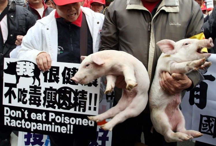 ���M(j��n)�h���������p�_���F(tu��n) ��Ӣ�ĺ�Ԯ������