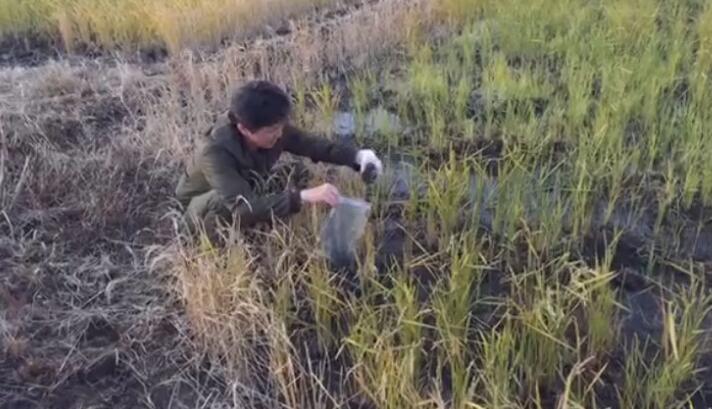 �ձ����u�����ߝ���C137 �{�Iŭ:���Զ�����!