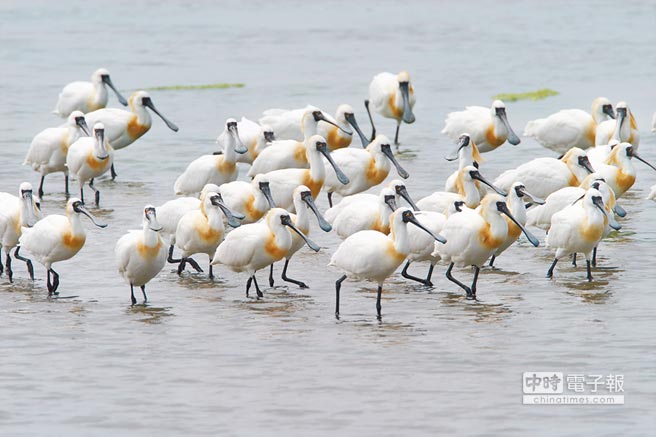 �̮����Ɖĝ�ؽ���늏S��������Ӌ��һ����Ϳ