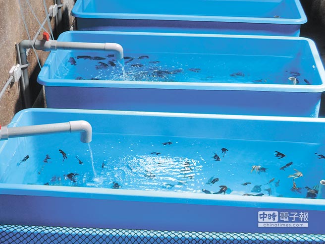 �_܊܊Ş�а����J���`�s��5�|�J���ֻ�Q1���~�����DƬ��Դ���_�����Еr��ӈ󡷣�