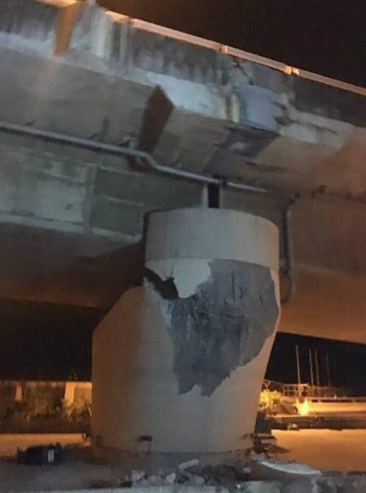 �M�Dֱ�����_����ɏ����F���������� 3��׃1��