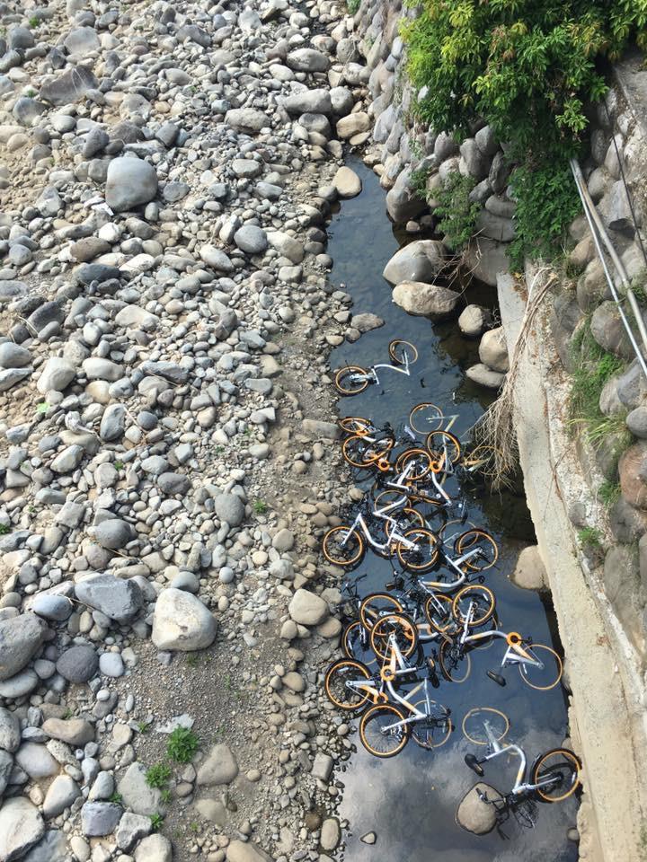 ȫ�_ֻ��һ�ҵĹ����܇��Ű�K��Ҫ��Ҫ�󃔣�