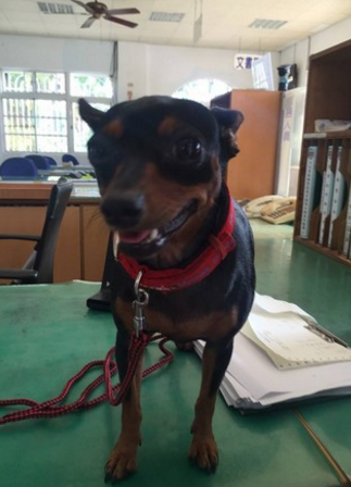 �������@��3�c���L��D ����30����һع���