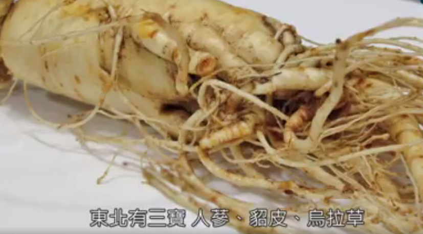 �ݼ���ը�ġ��r���������K�ڳ���݋���������D�İ�Ԕ��