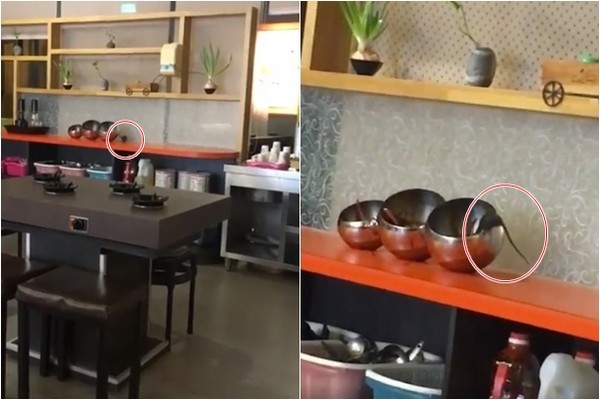 ������偵�����y�Z��̽�^���ɳ���u�����DƬ��Դ��Ę�V�W��