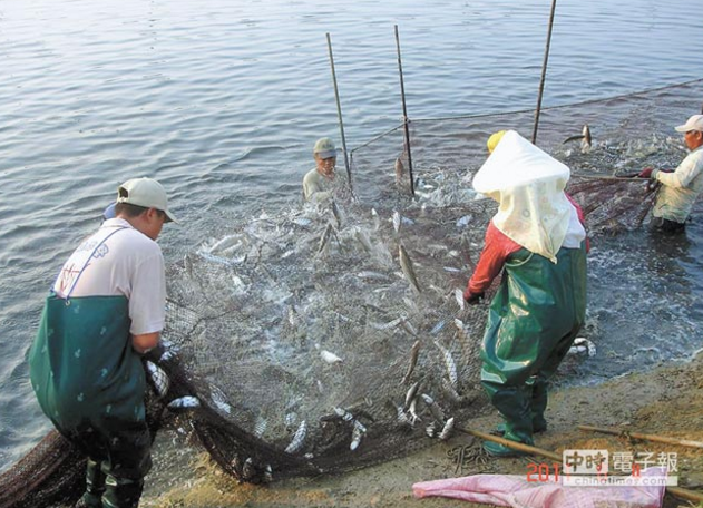 �ɰ����g��������_��ˮ�����N��� ���r��������Ӣ���桱