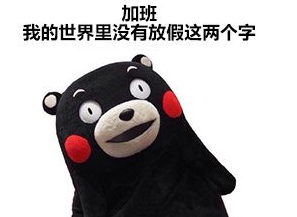 �_�����������������r �_���������T�[��Ę������Ҋ��