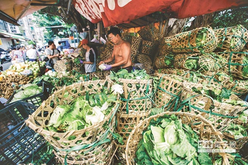 �_���r�a�l�������²˃r���P ���M�h���Gɫ���������r���ܺ����C