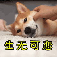 ه�����������񹦡��^�й����h ���M(j��n)�h�Č������ܡ��M(j��n)�е���