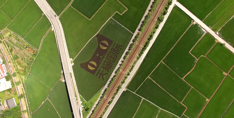 ��؈�D��ӳ�뻨ɏ����