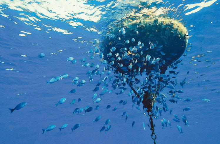 �_����Ѳ꠆T�Ĕz̫ƽ�u�����߼t �W�ѸЇ@������ƻ�