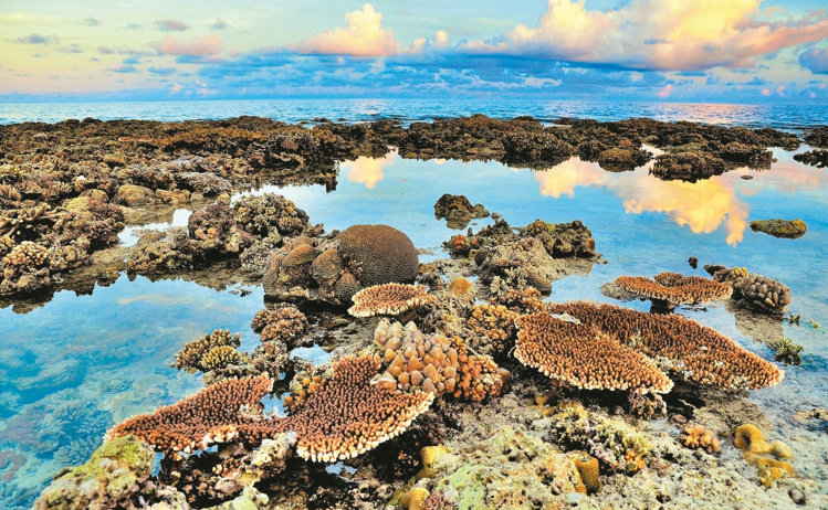 �_����Ѳ꠆T�Ĕz̫ƽ�u�����߼t �W�ѸЇ@������ƻ�