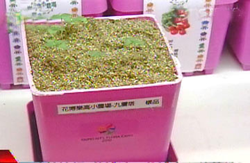 �����̵���ļo��Ʒ�V����ϲ�����DƬ��Դ���_��TVBS�ҕ�_