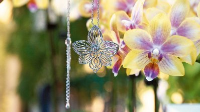 �_���ɹ���W(xu��)�Y(ji��)������Ƽ��c�Ą�(chu��ng)�ׄ�(chu��ng)�m����