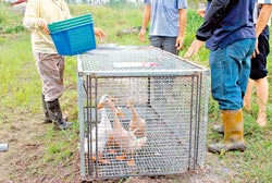 ���{�F�\������͵Ĳ���\���DƬ��Դ���_�����Ї��r(sh��)��(b��o)��