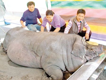 �_һ����������"�x��" �Iǧ���i���I