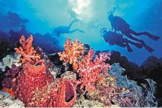 �������_(t��i)�L(f��ng)�؄�(chu��ng)����ɺ������ը�^һ�ӡ����D��