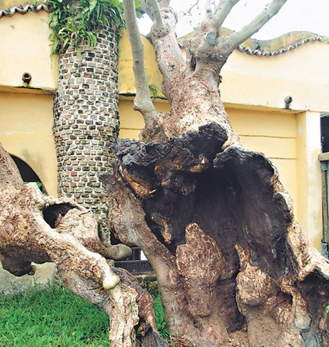 �_��һ��160�q�Ϙ䲡�á�Ƥ���ǡ����ғ���