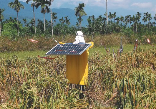 �����˱���Q(ch��ng)������䡱ȫ��o(w��)���J(r��n)���s�B(ni��o)