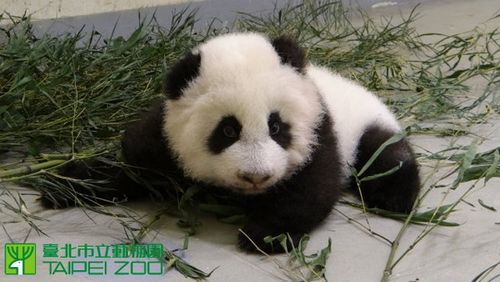 ٛ(z��ng)�_(t��i)��؈ǧ���A��׃��С���಻���d�ͺߺ߽�