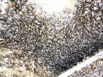 ���S���ڸ��۴a�^չһ���¸��_���MСؐ��