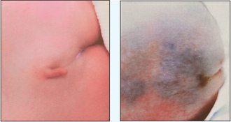 �_��һ�Ћ��L��β�͡��������g�ְc�����D��