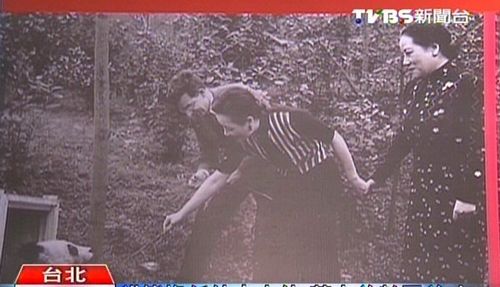 �_���Ƴ������g����؈���г����������D��