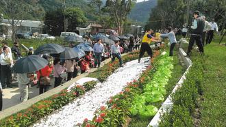 �_���ƄӶ�Ԫ�h�������ɽ�O����^���D��