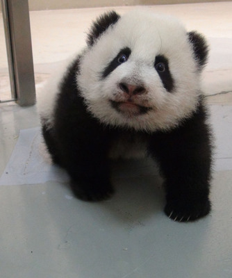 �_������؈�������A�С��{(di��o)Ƥ�ӵĖ|����ȥ׷