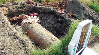 ���ֵܞ鸸��(f��)���_(k��i)�׺�l(f��)�F(xi��n)�����ֲ�Ҋ(ji��n)�ˡ����D��