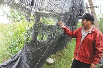 �_(t��i)�|�r(n��ng)���⡰������Ɖ������С��ܳ��]��