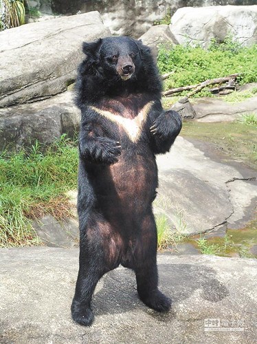 �_�����ܳɞlΣ�����ֻ����؈��1/10���D��