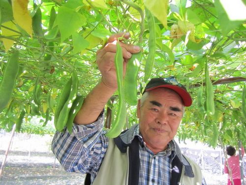 7Ѯ���r�N���ʵ۶������^20��֪�㳣���������