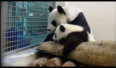 ٛ(z��ng)�_(t��i)��؈�A���򋌋��u(m��i)���w�䱧���Ȳ��ţ��D��