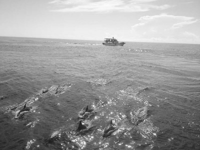 �_���O�I������ֵ·�����p�L�ࡢ��͘�ӡ��洹�