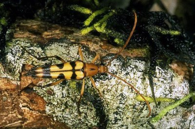 �_���l�F��ţ��Ʒ�N���������Ƭ�������ţ�����D��