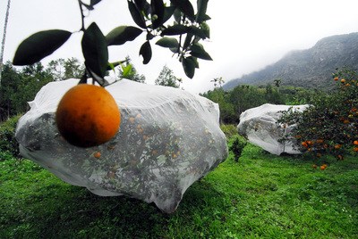 ���ɴ�ͬ�á�������ˮ���_�|�㶡������