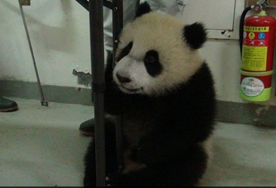 ���A�С�Խ��Խ�C�`������Ó�����z�飨�D��